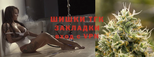 шишки Аркадак