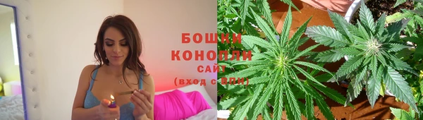 шишки Аркадак