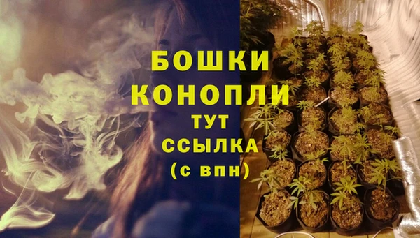 ешки Арсеньев