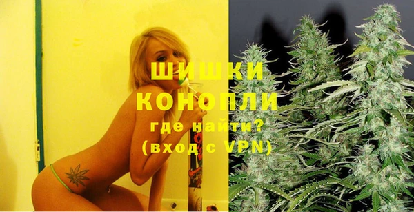 шишки Аркадак