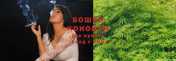 шишки Аркадак