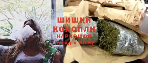 шишки Аркадак