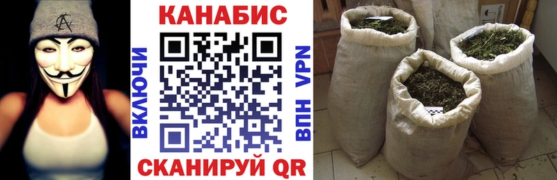 хочу наркоту  Жирновск  Конопля сатива 